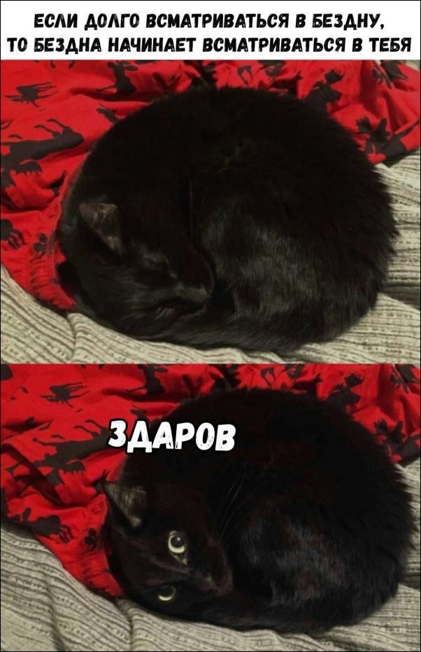 ЕСЛИ АОАГО ВВМАТРИВАТЬСЯ В БЕЗАНУ ТО БЕЗДНА НАЧИНАЕТ ВСМАТРИВАТЬСЯ В ТЕБЯ