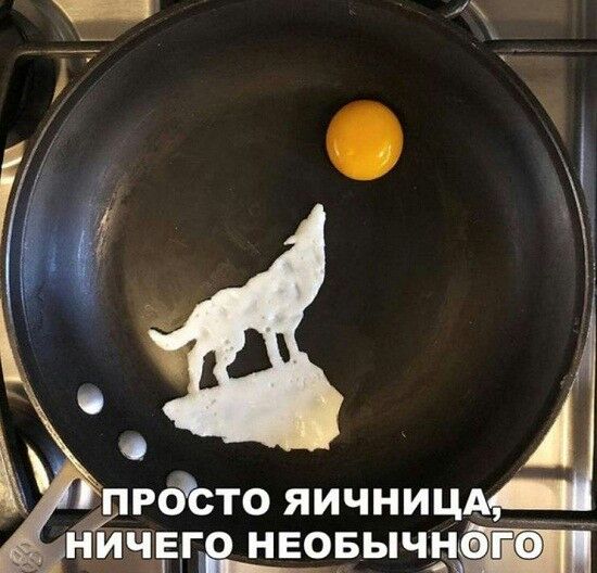 Щ просто яичниц Ёійчеге нвовычн