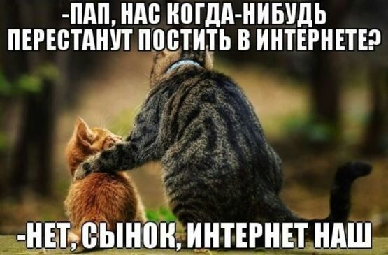 ПАП НМ Н0Гдд НИБУДЬ НЕРЕВТАНУТ ППБТНТЬ В ИНТЕРНЕТЕ д
