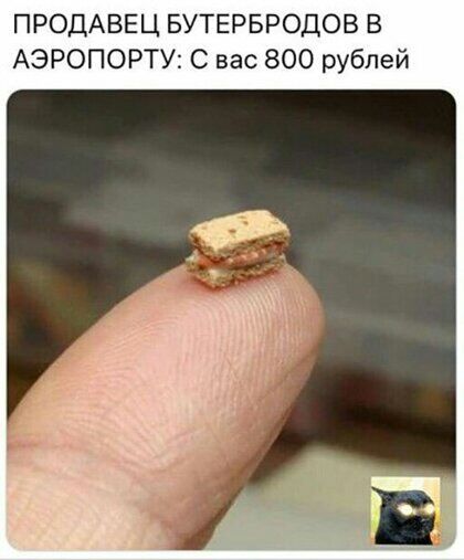 ПРОДАВЕЦ БУТЕРБРОДОВ В АЭРОПОРТУ С вас 800 рублей