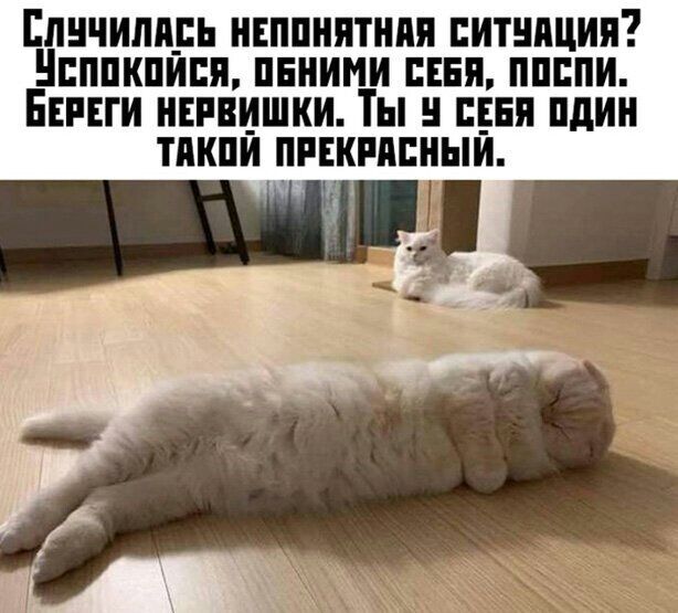 Епнчипипь ннппнятнпя питнпция Ниппкпипя пнними шп ппппи Ешги ншишки Ты Ея пдин тпкпи пивкпппныи