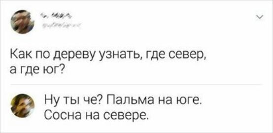 ъщг Как по дереву узнать где север а где юг Ну ты че Пальма на юге Сосна на севере