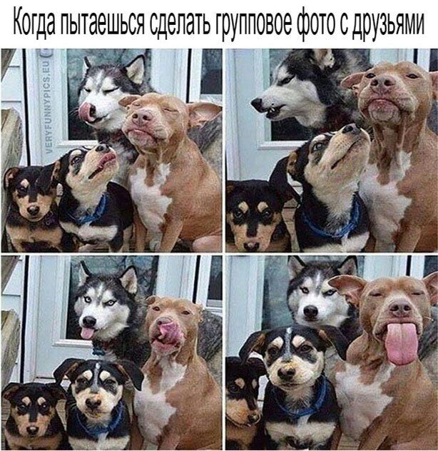 Ког да пытаешься сделать упповое фотосдрузьями