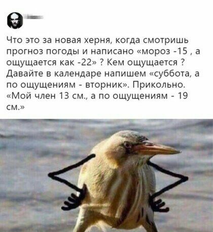 Что это за новая херня когда смотришь прогноз погоды и написано мороз 15 а ощущается как 22 Кем ощущается Давайте в календаре напишем суббета а по ощущениям вторник Прикольно Мой член 13 см а по ощущениям 19 см