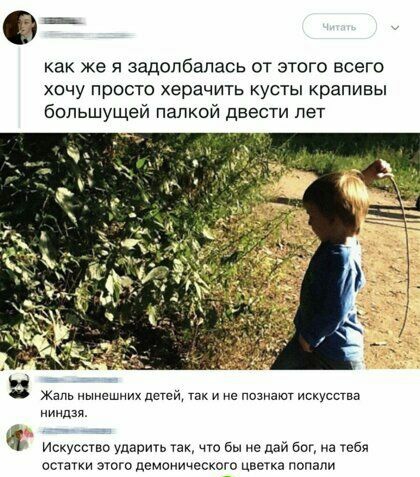 как же я задолбапась от этого всего хочу просто херачить кусты крапивы большущей палкой двести лет ж и е ува ниндзя Искусство ударим так что бы не дай бог не тебя остатки этого демонического цвеука попали