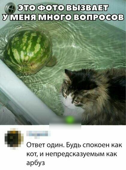 Ответ один Будь спокоен как КОТ И НЕПРЕДСКЗЗУЁМЫМ КЭК арбуз