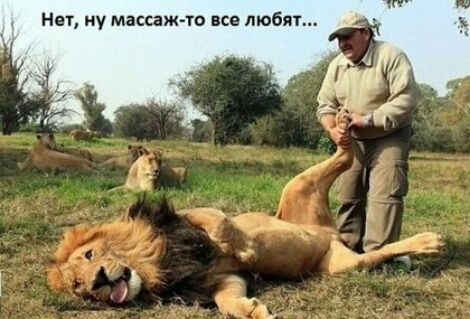Нет ну массаж то все люби