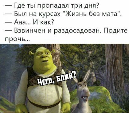 Где ты пропадал три дня 7 Был на курсах Жизнь без мата Ааа И как Взвинчен и раздосадован Подите прочь