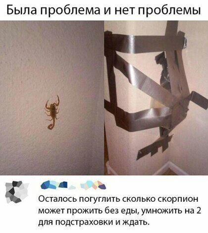 Была проблема и нет проблемы ду ч Осталось погуглить скем ко скорпион может прожить без еды умножить на 2 для подстраховки и ждать