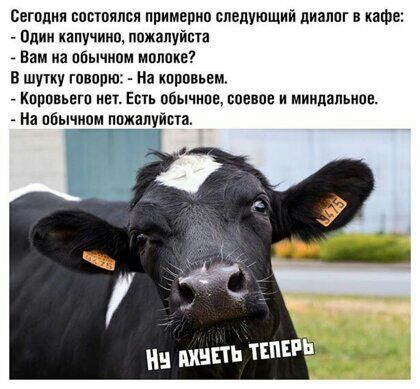Сегппия спвтпяпся примерно следующий диаппг в кафе _ Пдии капучинв пожалуйста _ Вам на пбычном мпппке в шутку гпвппю На кпппвьем кпппвьегп нет Есть опычипе спине и миидапьипе На пбычипи ппжа Ипа