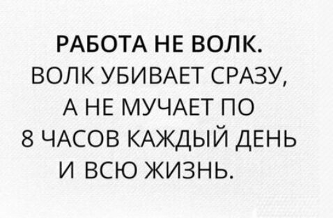 РАБОТА не волк волк УБИВАЕТ СРАЗУ А НЕ МУЧАЕТ по 8 ЧАСОВ КАЖДЫЙ ДЕНЬ и всю жизнь