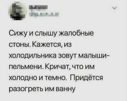 Сижу и слышу жалобные стоны Кажется из холодильника зовут малыши пепьмени Кричат что им холодно и темно Придётся разогреть им ванну