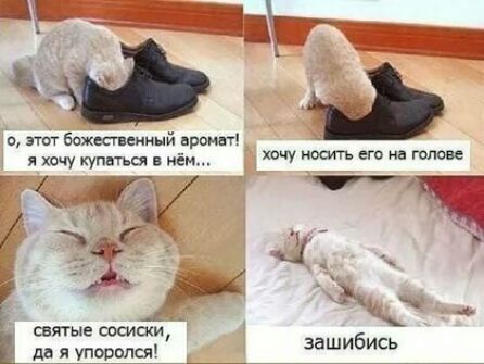 Ц Ф ь а этот божетенный вроннт хечу КУПБТЬС хочу осигъ его на голове святые сида зашибись в да _я Упоролся