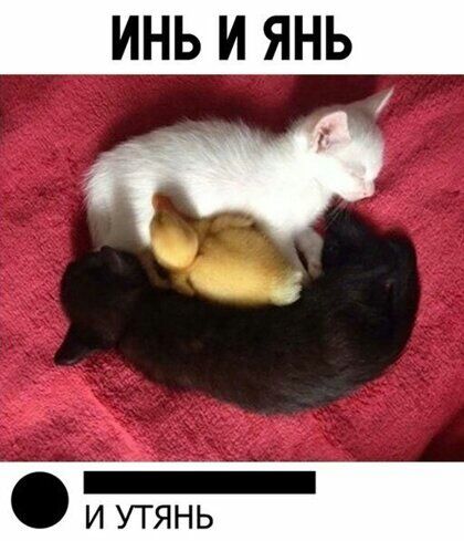 И УТЯНЬ