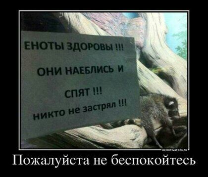 Пожалуйста не беспокойтесь