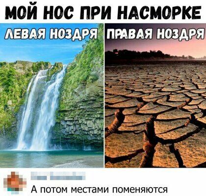 МОЙ НОС ПРИ НАСМОРКЕ _ А потом месгами поменяются
