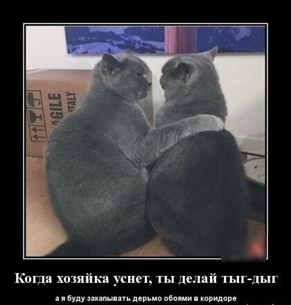А Когда хозяйка усиет ты делай тыг дыг ибудущптдв вбпчии танцам