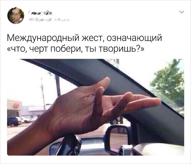 пкиі Международный жест означающий что черт побери ты творишь