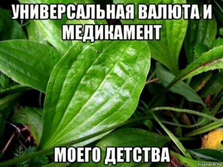 дпьндя вдпютди Уди индмшт и ч і мовЁднетвЁ т