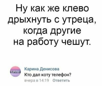 Ну как же клево дрыхнуть с утреца когда другие на работу чешут Карина деиисова Ё Кто дал коту телефон Щш гшъ