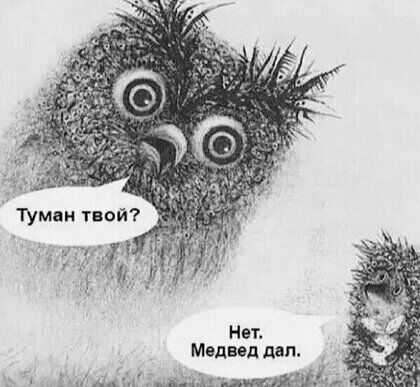 Медввддап д дьн пищи