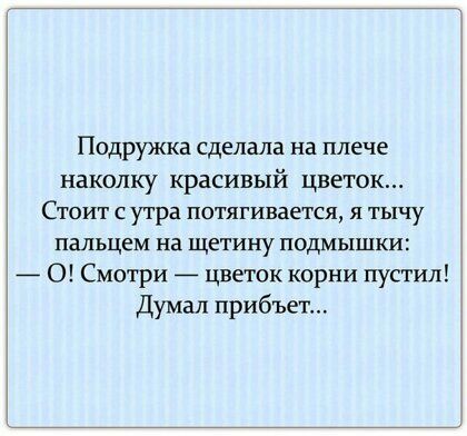Подружка сделала на плече наколку красивый цветок Стоит с утра потягивается я тычу пальцем На щетину подмышки 0 Смотри цветок корни пустил Думал прибъет