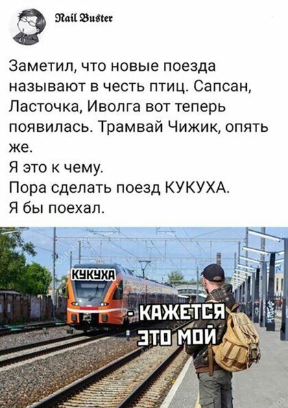 амиши Заметил что новые поезда называют в честь птиц Сапсан Ласточка Иволга вот теперь появилась Трамвай Чижик опять же Я это к чему Пора сделать поезд КУКУХА Я бы поехал