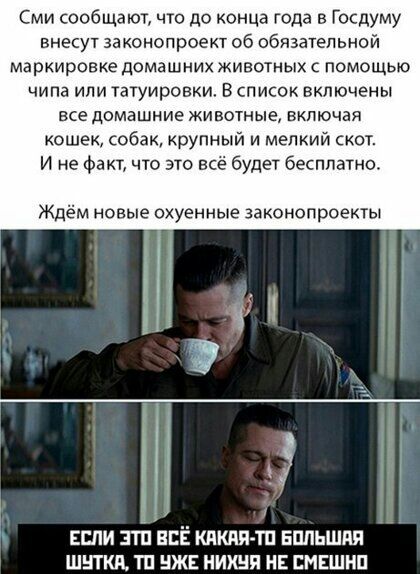 Сми сообщают что до конца года в Госдуму внесут законопроект об обязательной маркировке домашних животных с помощью чипа или татуировки В список включены все домашние животные включая кошек собак крупный и мелкий скот И не Факт что это всё будет бесппвтно Ждём новъпе охуенные законопроекты д ЕСЛИ ЭТП НЕЁ КНШ Ш БППЬШПЯ ШВТКК ТП ЖЕ НИХНП НЕ ЕМЕШНП
