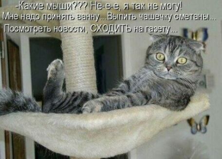 на лЮГУ из ны