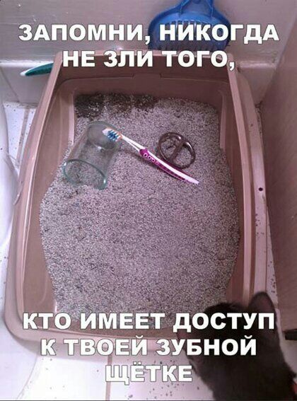 зАпомни нИкогдА ь нигіпи того