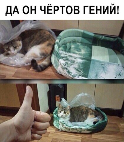 ДА ОН ЧЁРТОВ ГЕНИЙ г