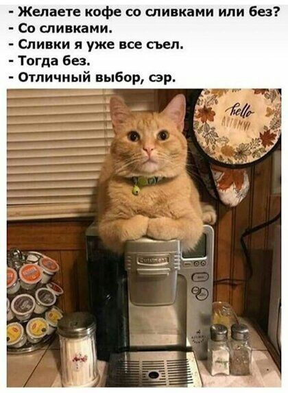 Желаете кофе со сливками или без Со сливками Сливки я уже все съел Тогда без Отличный выбор сэр