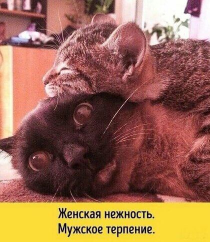 _ НЁжшжшктіэ щуншцзщтт