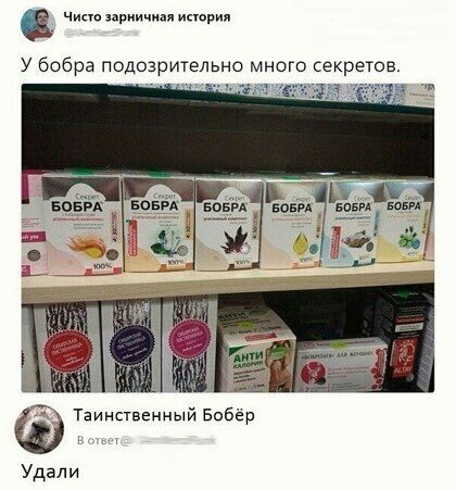 Чина приичиля исюрия