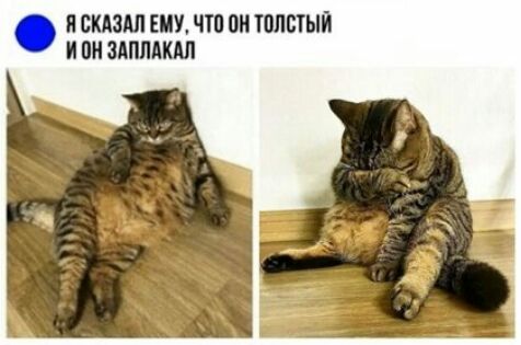 П СКАЗАЛ ЕМУ ЧТП 0 ТОЛСТЫЙ И ПН ЗАППАКАЛ