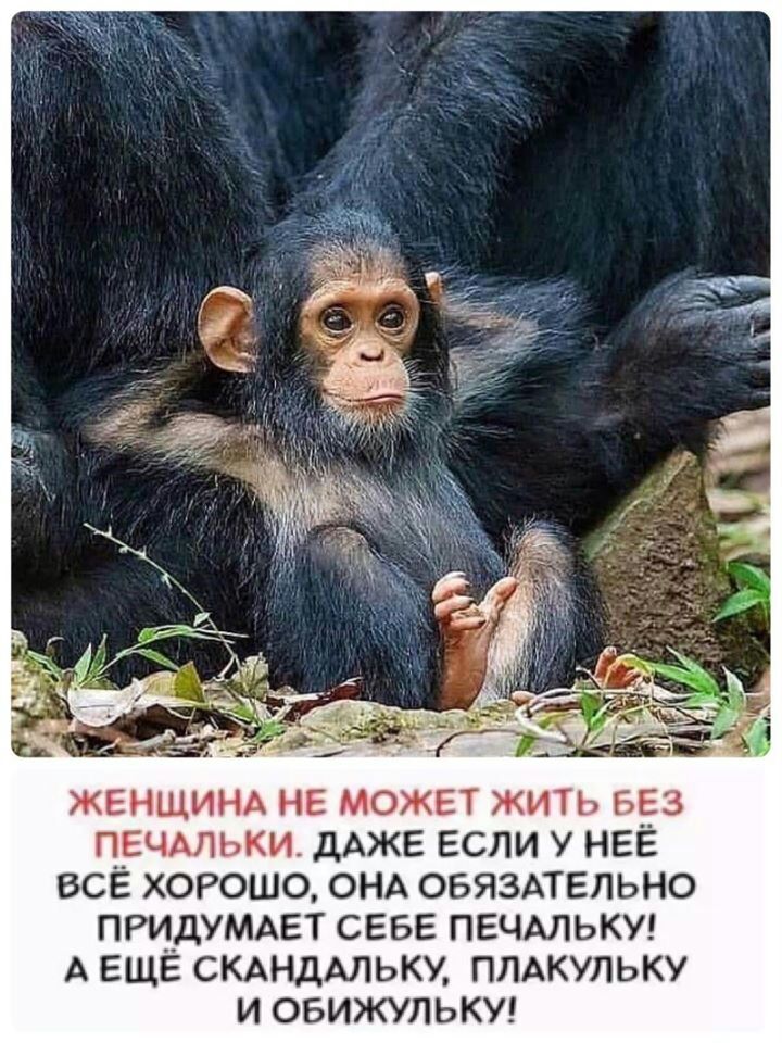 43 ЖЕНЩИНА не может жить вез печмьки дАЖЕ если у НЕЁ все хорошо ОНА оеяздтельно ПРИДУМАЕТ севе ПЕЧАЛЬКУ А еще СКАНДАЛЬКУ ппдкульку и овижулькуг