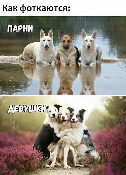 Как фоткаются ПАРНИ