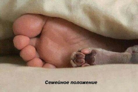 Семейное пояснение