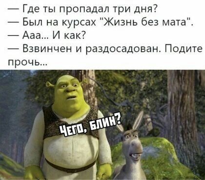 Где ты пропадал три дня 7 Был на курсах Жизнь без мата Ааа И как Взвинчен и раздосадован Подите
