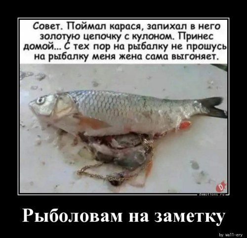 Совет Поймал карася запихпл в него зопо ю цепочку купоном Принес домой тех пор на рыбалку не прошусь на рыбалку меня жена сами выгаияет РыболоваМ на заметку