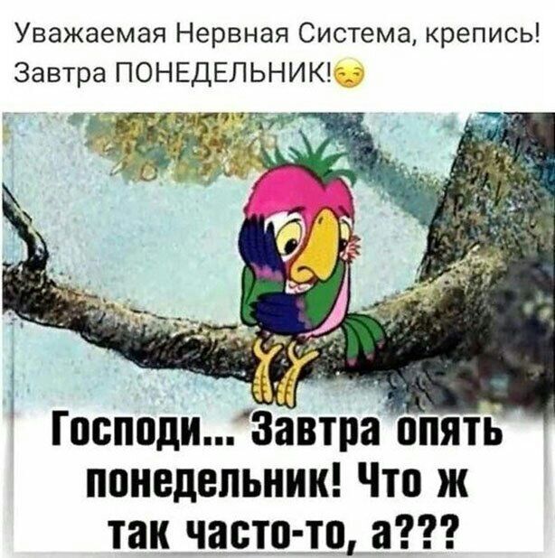 Уважаемая Нервная Система крепись Завтра ПОНЕДЕЛЬНИК Господи Завтра пііять понедельник Что ж так часто тп а