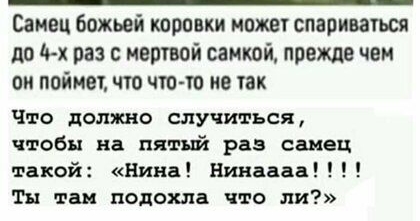 Самец божьей коровки может спариваться по И раз с мертвой самкой прежде чем он поймах что чтото не так Что должно случиться чтобы на пятый раз самец такой Нина Нинаааа Ты так подохла что ли