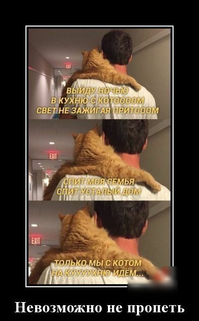 Невозможно не пропеть