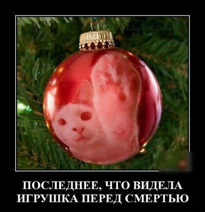 ПОСЛЕДНЕЕ ЧТО ВИДЕЛА ИГРУШКА ПЕРЕД СМЕРТЬЮ