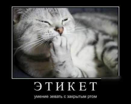 ЭТИКЕТ умме ие зевагьсяаи ршым шам