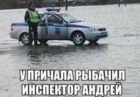 ШШШПШШМ