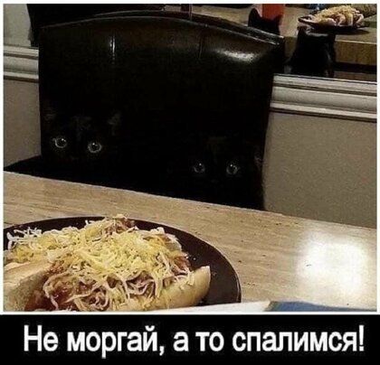 Не моргай а то спалимся