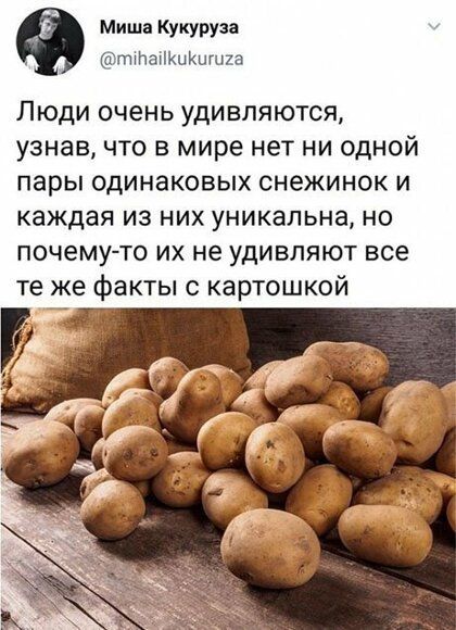 Миша Кукуруза ттапкшщща Люди очень удивляются узнав что в мире нет ни одной пары одинаковых снежинок и каждая из них уникальна но ПОЧЕМУ ТО ИХ не УДИВЛЯЮТ все те же акты С картошкой