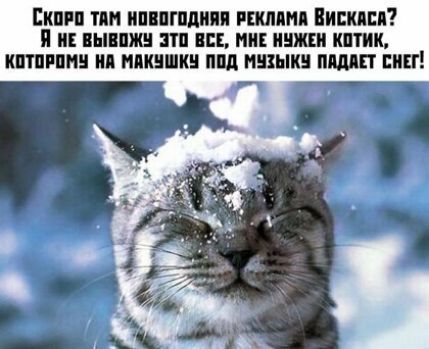 Екшн тян ишгпдипп пишим Пиши и и шнпжц ш и ни иижги кптик кптпрпни ип пикники ппц мишки питт пинг
