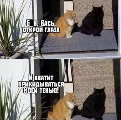 Ьвптит прикидынпт мпни ткиып
